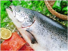 社區團購活鮮海鮮快運方法有哪些？